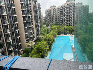 WETLAND SEASONS PARK 2期 12座 - 28NTS – 香港北部都會區