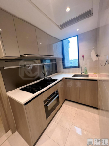 WETLAND SEASONS PARK 2期 12座 - 28NTS – 香港北部都會區