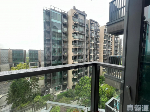 WETLAND SEASONS PARK 2期 12座 - 28NTS – 香港北部都會區