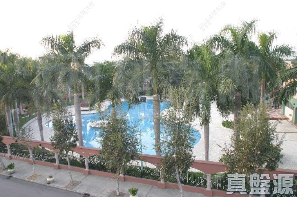 加州花園 1期A 爵仕居 銀菊徑 - 28NTS – 香港北部都會區