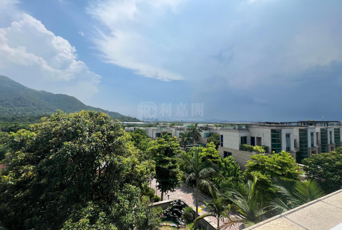 1758444770895c262d-44ea-4602-92e1-e796cc94fa18.jpeg 葡萄園 - 28NTS – 香港北部都會區