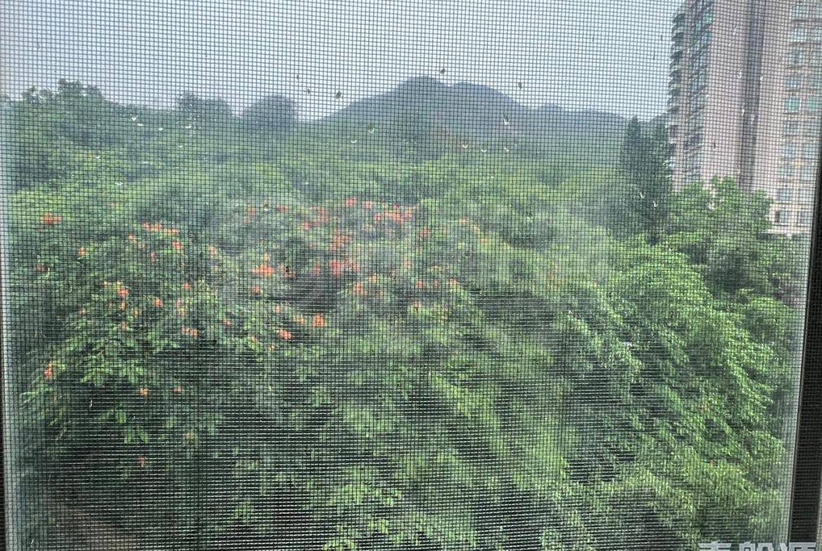 翠濤居 2座 - 28NTS – 香港北部都會區