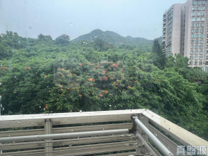 1758445085a008c4bc-4d64-4ef6-b543-51898b10c068.jpeg 翠濤居 2座 - 28NTS – 香港北部都會區