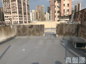 1758454840844f5f72-e89e-4d7d-a26b-a0ed385544f7.jpeg 福德樓 - 28NTS – 香港北部都會區