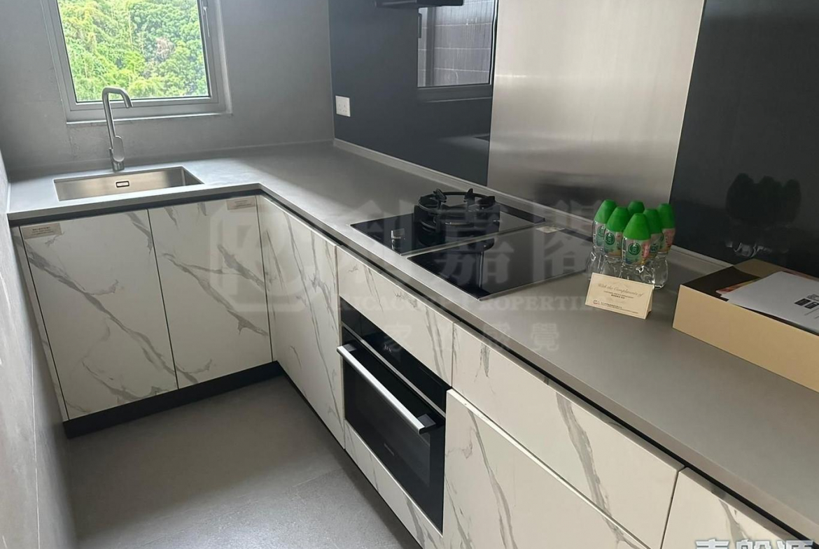 飛揚 2期 3座 - 28NTS – 香港北部都會區