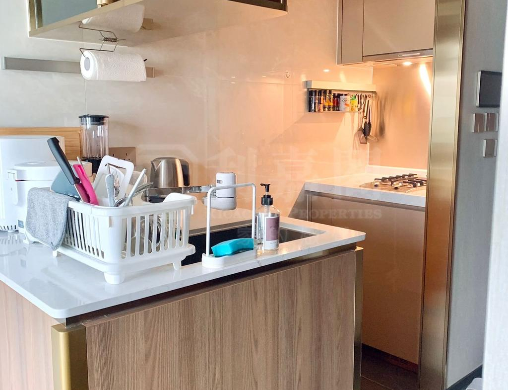 緹岸 1期 1A座 - 28NTS – 香港北部都會區