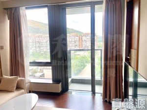 緹岸 1期 1A座 - 28NTS – 香港北部都會區