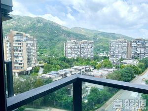 緹岸 1期 1A座 - 28NTS – 香港北部都會區