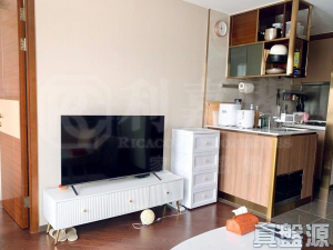 緹岸 1期 1A座 - 28NTS – 香港北部都會區