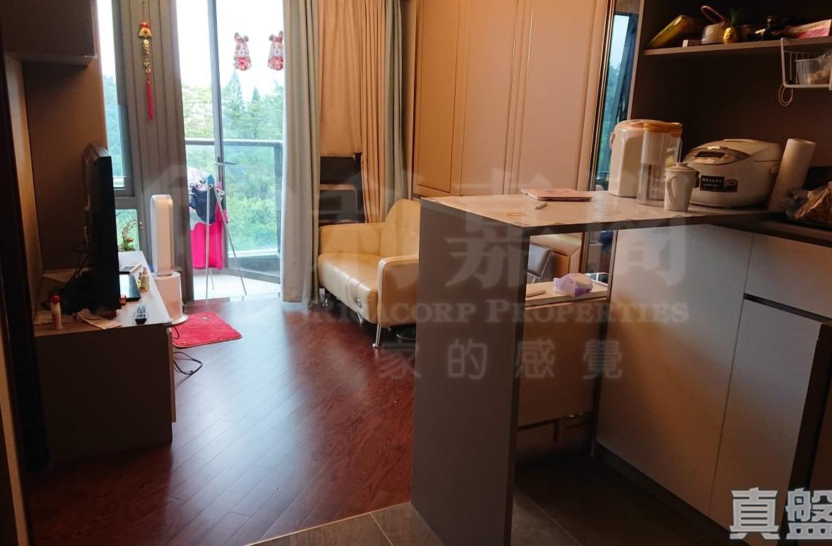 緹岸 2期 5座 - 28NTS – 香港北部都會區