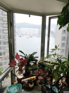 海濱花園 海觀閣 (9座) - 28NTS – 香港北部都會區