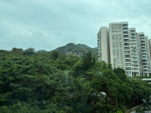 翠濤居 1座 - 28NTS – 香港北部都會區