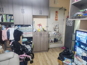 屏欣苑 B座 (屏彥閣) - 28NTS – 香港北部都會區