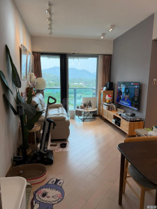 峻巒 2B期 PARK YOHO NAPOLI 26座 - 28NTS – 香港北部都會區