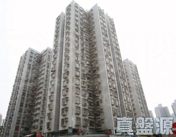 彩華花園 B座 - 28NTS – 香港北部都會區