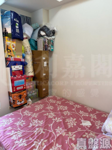 GRAND YOHO 1期 10座 - 28NTS – 香港北部都會區