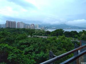 迎海 4期 迎海．駿岸 8座 - 28NTS – 香港北部都會區