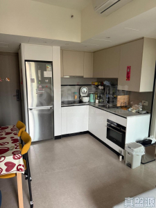 NOVO LAND 1B期 Bergen 2座 - 28NTS – 香港北部都會區