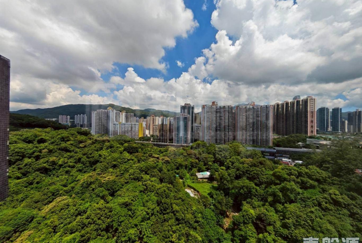 偉景花園 4座 - 28NTS – 香港北部都會區