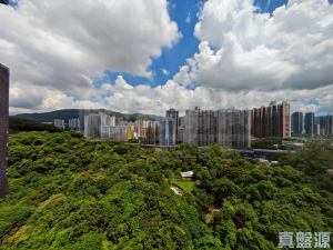 偉景花園 4座 - 28NTS – 香港北部都會區