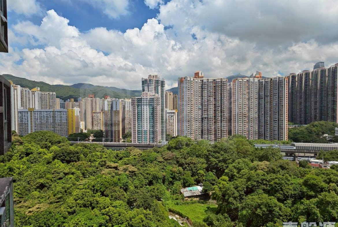 偉景花園 4座 - 28NTS – 香港北部都會區
