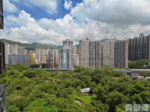 偉景花園 4座 - 28NTS – 香港北部都會區
