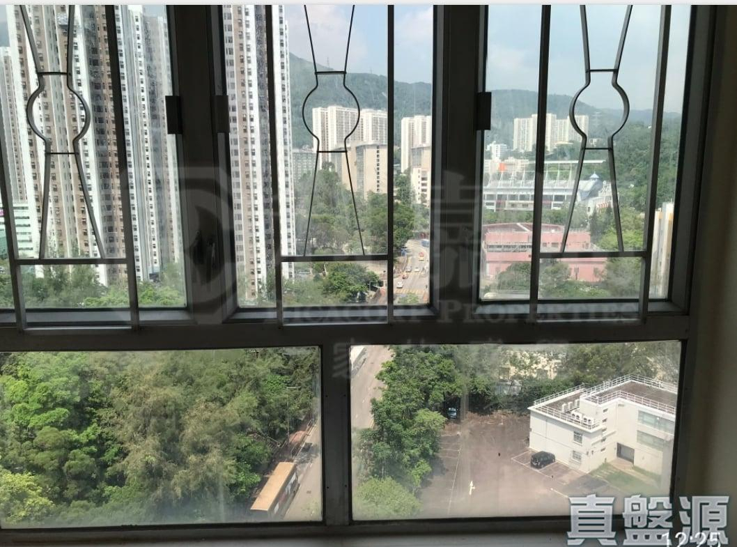 豪輝花園 1座 - 28NTS – 香港北部都會區