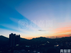 彩蒲苑 彩瑩閣 (A座) - 28NTS – 香港北部都會區