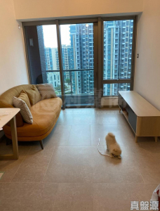雲滙 1期 5座 - 28NTS – 香港北部都會區