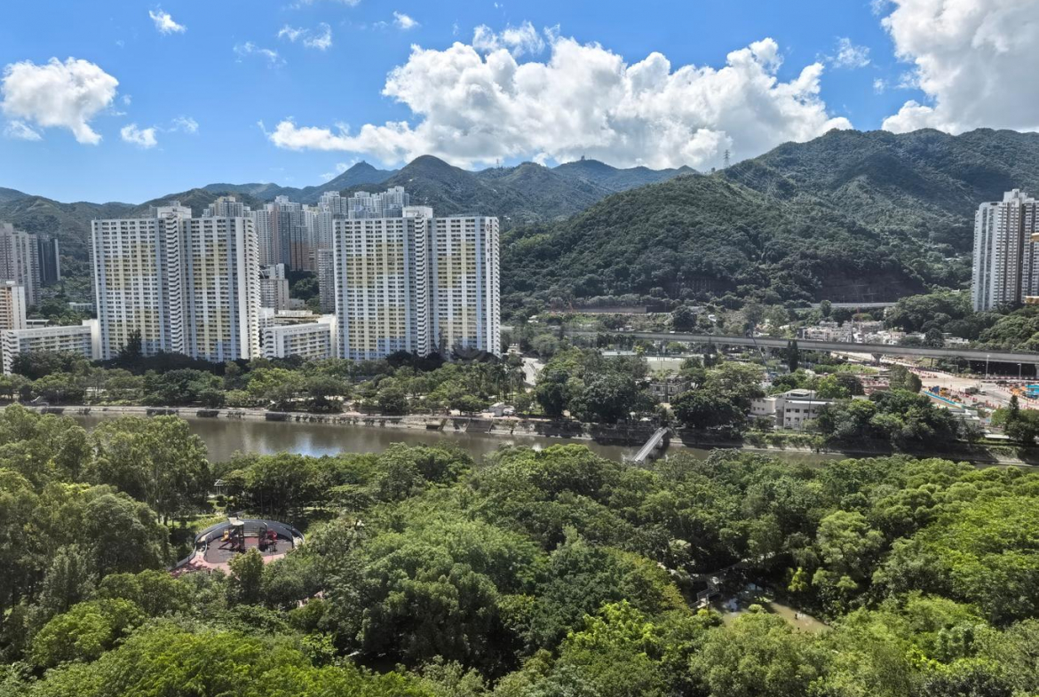 希爾頓中心 A座 - 28NTS – 香港北部都會區
