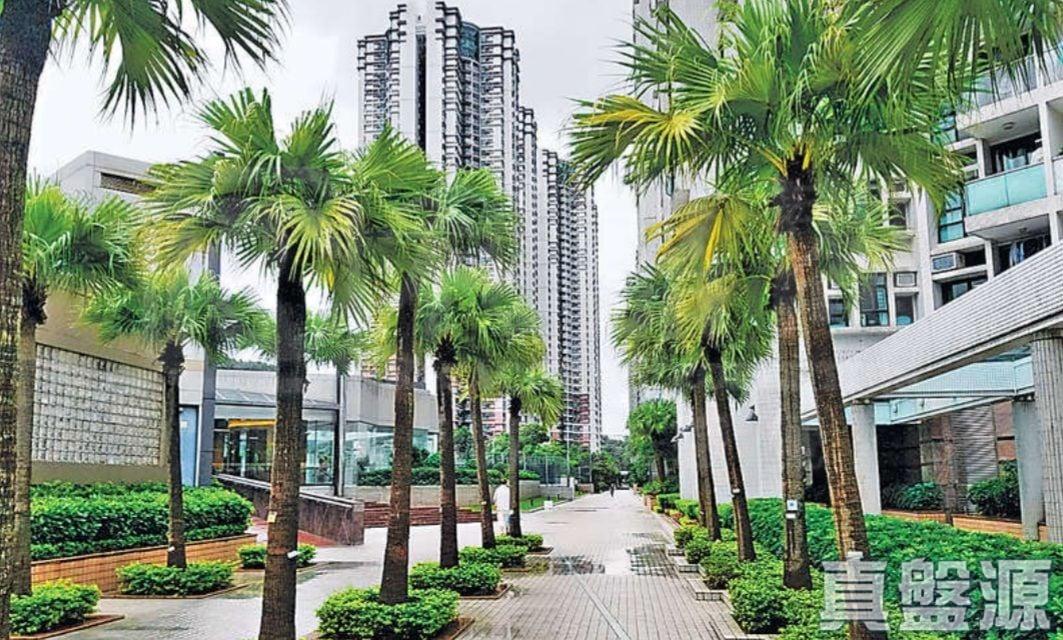 駿景園 2期 8座 - 28NTS – 香港北部都會區