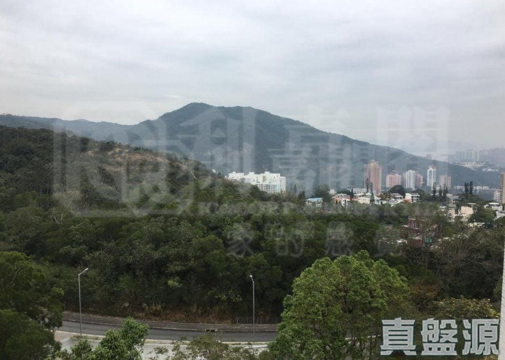 華翠園 29座 - 28NTS – 香港北部都會區