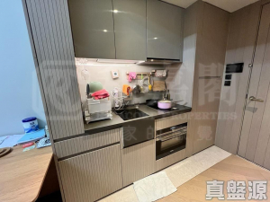 柏傲莊 1期 3座 (3B) - 28NTS – 香港北部都會區