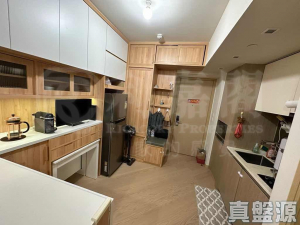 天鑽 1座 - 28NTS – 香港北部都會區