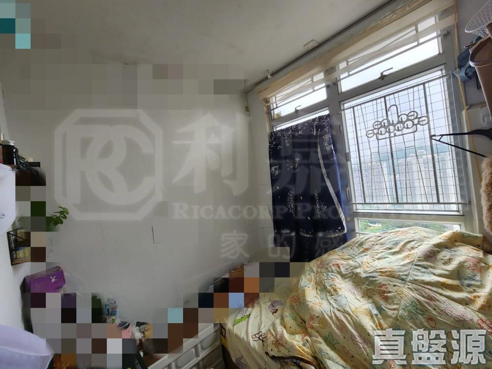 錦豐苑 錦荷閣 (H座) - 28NTS – 香港北部都會區