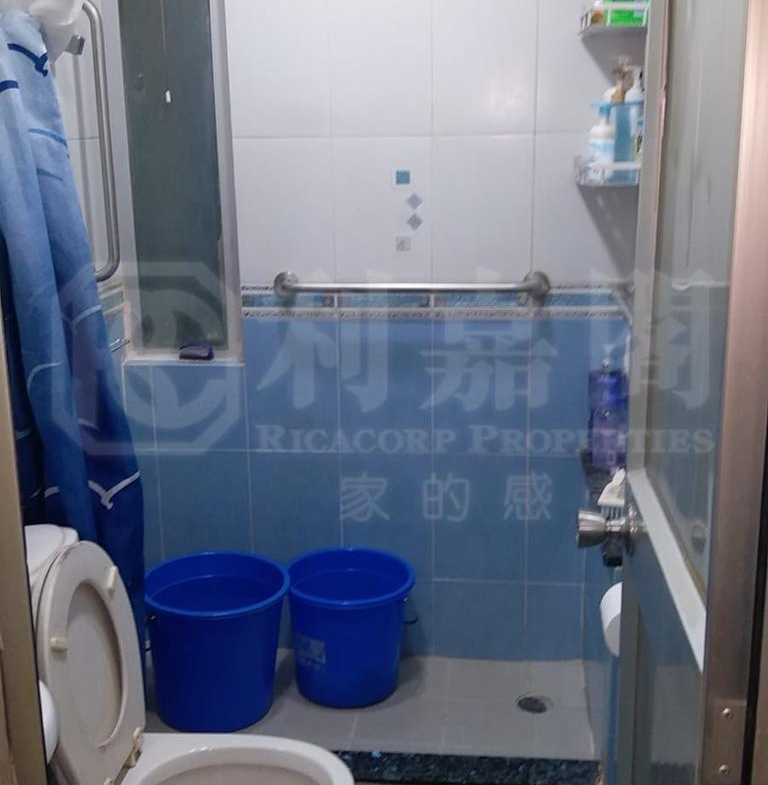 青華苑 華翔閣 (F座) - 28NTS – 香港北部都會區