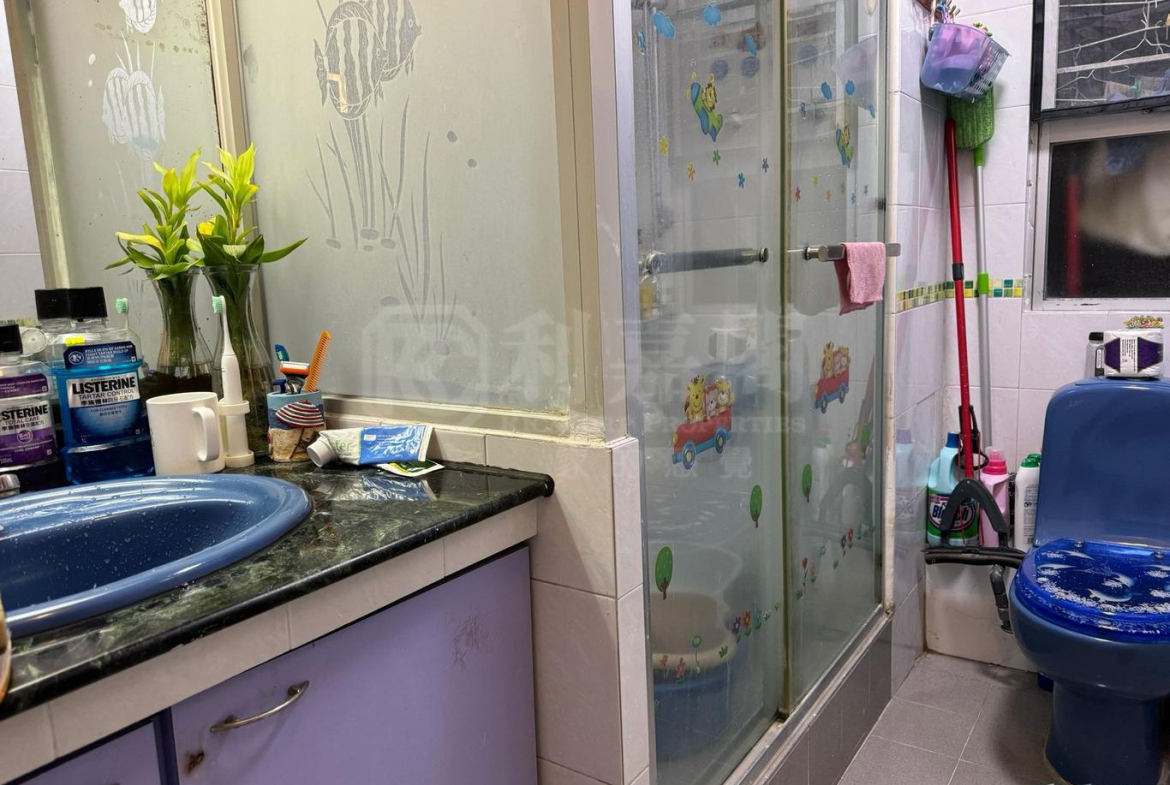 青泰苑 寶泰閣 (B座) - 28NTS – 香港北部都會區