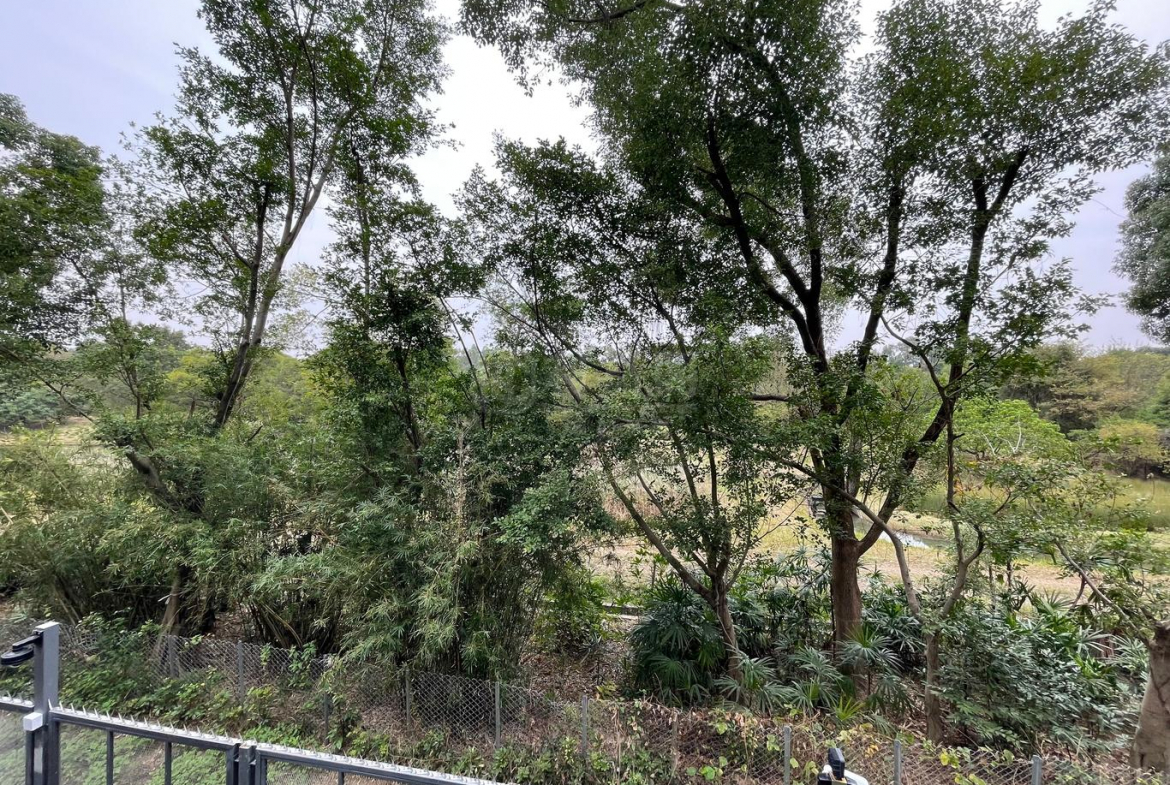 WETLAND SEASONS BAY 2期 別墅RV6 - 28NTS – 香港北部都會區