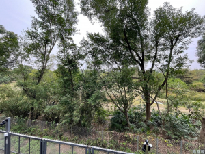 WETLAND SEASONS BAY 2期 別墅RV6 - 28NTS – 香港北部都會區