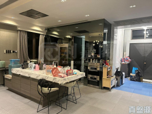 溱林 - 28NTS – 香港北部都會區