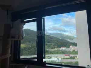 恒麗園 3座 - 28NTS – 香港北部都會區