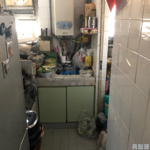 17591439127172aa3d-ccf5-4470-b589-7fbc87d771ab.jpeg 長發邨 亮發樓(3座) - 28NTS – 香港北部都會區