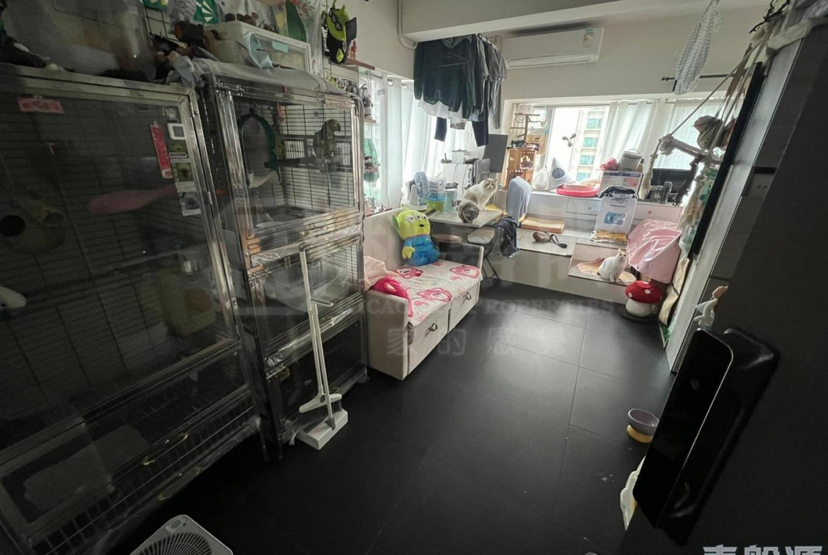 17591481113b3f3d85-a488-4ac5-8796-c412d146efe9.jpeg 寶星中心 D座 - 28NTS – 香港北部都會區