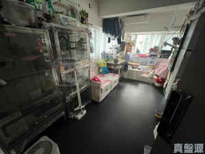 17591481113b3f3d85-a488-4ac5-8796-c412d146efe9.jpeg 寶星中心 D座 - 28NTS – 香港北部都會區