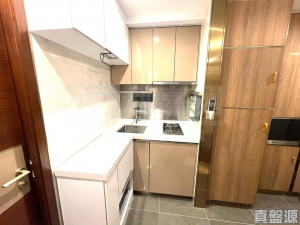 緹岸 1期 1座 - 28NTS – 香港北部都會區