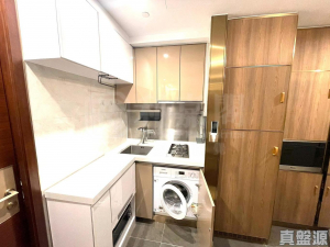 緹岸 1期 1座 - 28NTS – 香港北部都會區