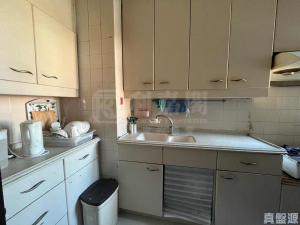 海濱花園 海豐閣 (12座) - 28NTS – 香港北部都會區