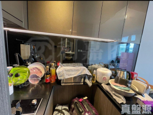 1759151533e7d0ca4f-6712-466f-ae07-8f0d9c8d2b21.jpeg 蝶翠峰 5期 尚悅‧嶺 1座 - 28NTS – 香港北部都會區