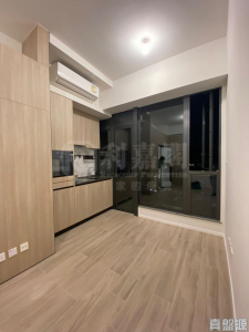 薈藍 - 28NTS – 香港北部都會區