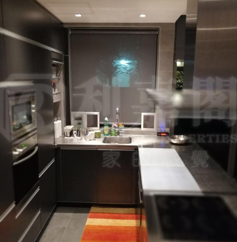 藍天海岸 1期 1座 - 28NTS – 香港北部都會區